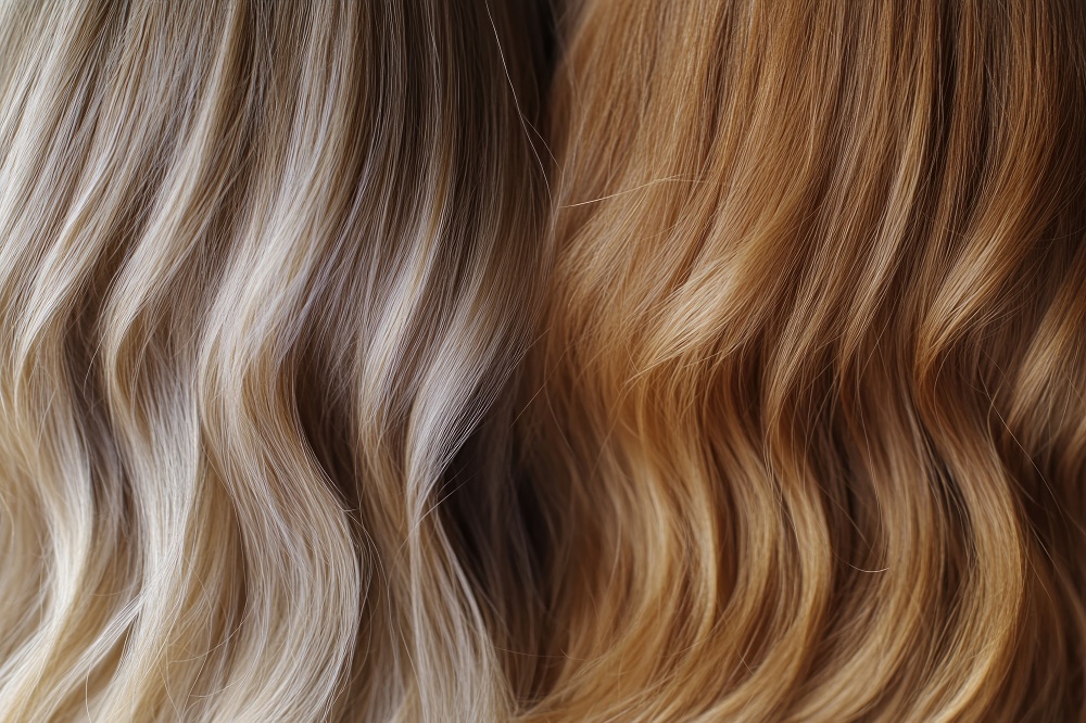 A close up shot of two different colored hairs, ideal for use in beauty or fashion advertising